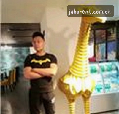 User
